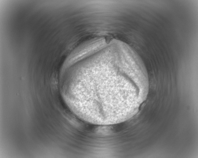 X0000065970179200603241923