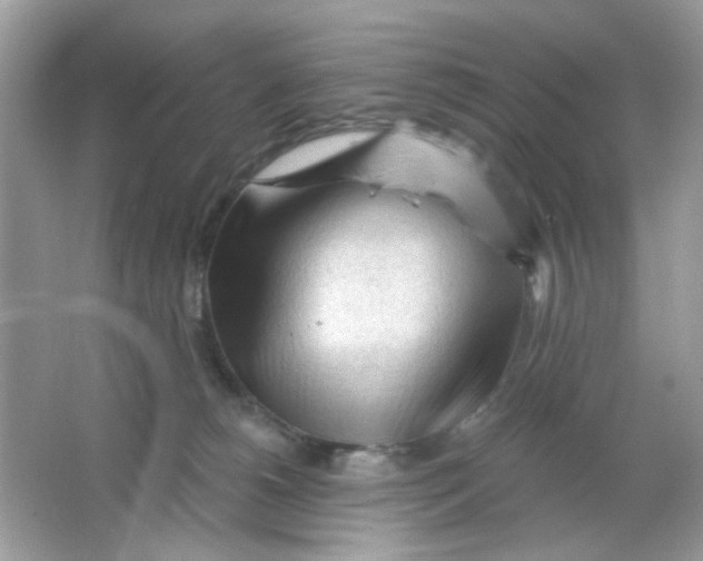 X0000065970180200603241923