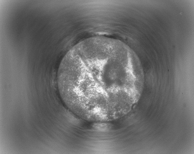 X0000065970181200603241923