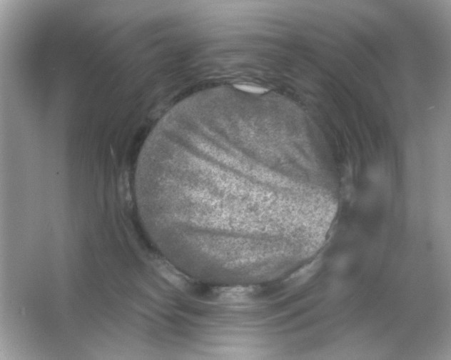 X0000065970182200603241923