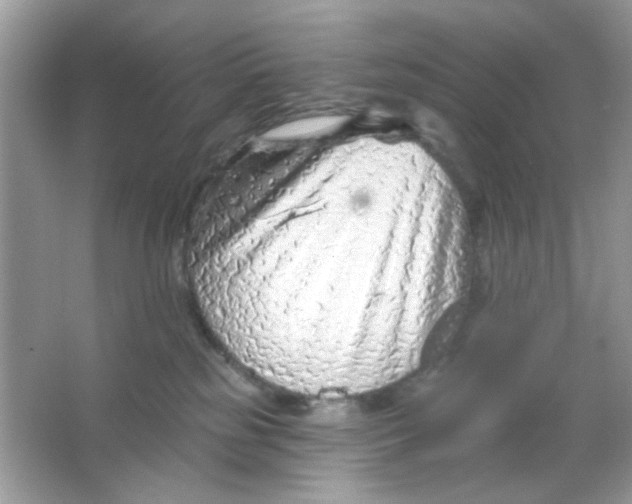 X0000065970185200603241923