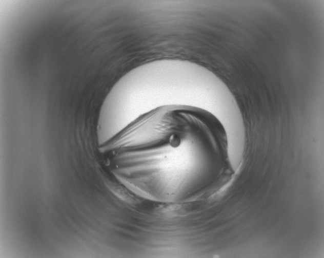 X0000065970186200603241923