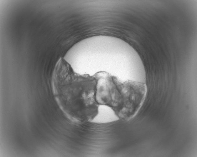 X0000065970189200603241923