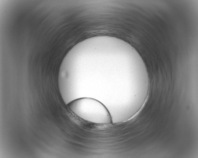 X0000065970190200603241923