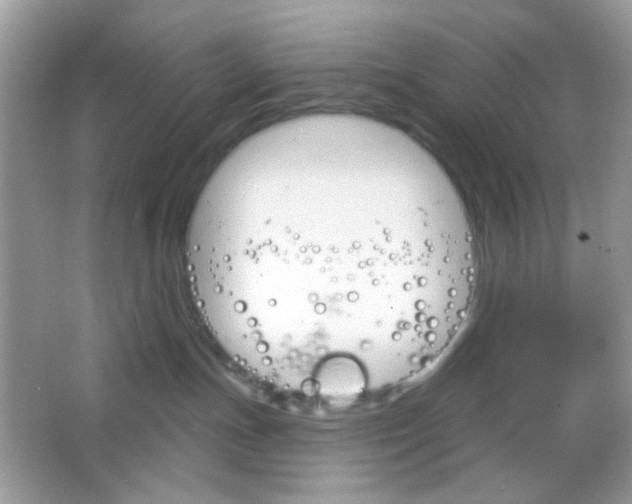 X0000065970191200603241923