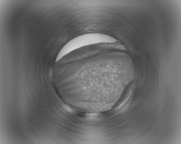 X0000065970192200603241923