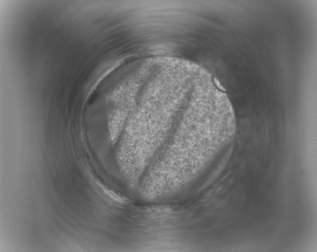 X0000065970194200603241922