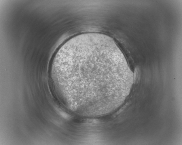 X0000065970195200603241922