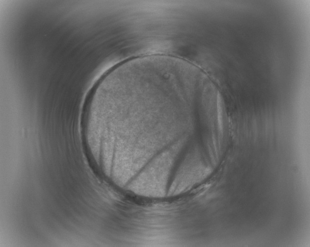 X0000065970196200603241922