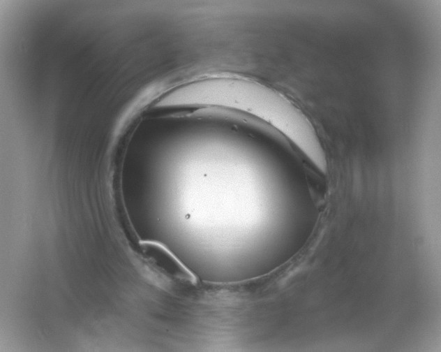 X0000065970197200603241922