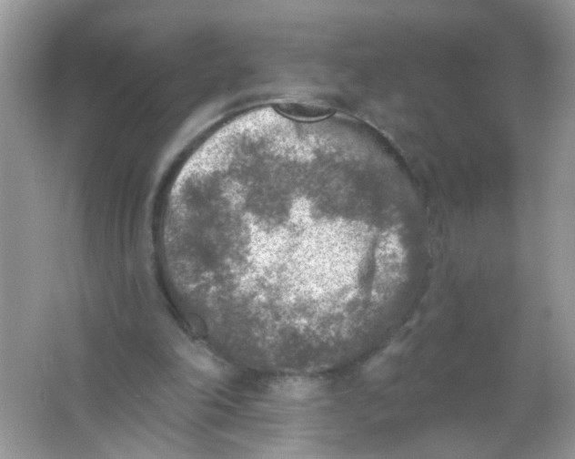 X0000065970198200603241922