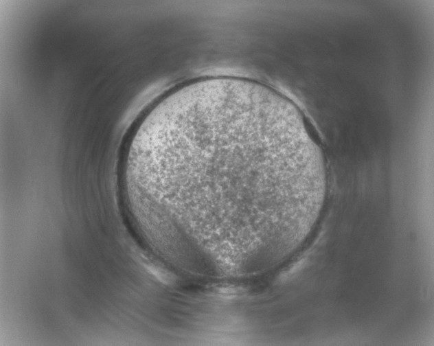 X0000065970199200603241922