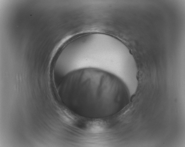 X0000065970200200603241922