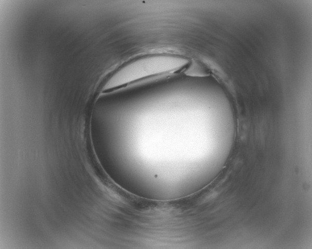 X0000065970201200603241922