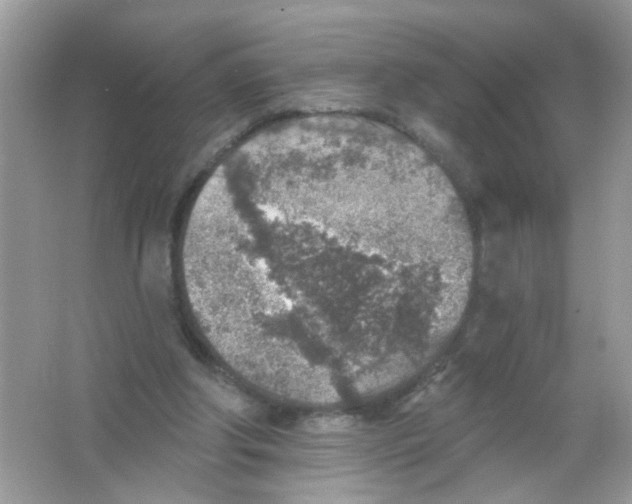 X0000065970202200603241922