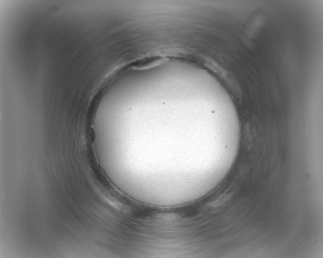 X0000065970203200603241922