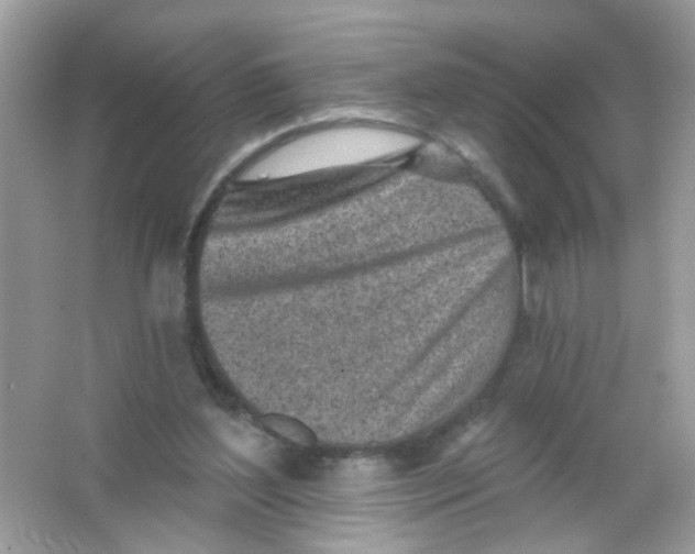 X0000065970204200603241922