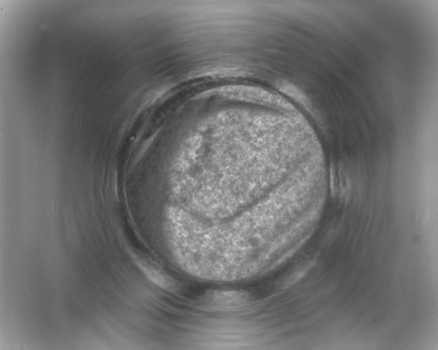 X0000065970205200603241922