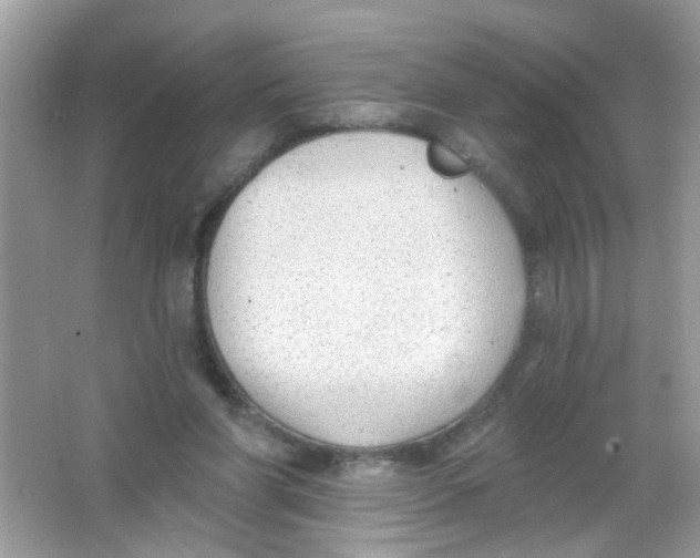 X0000065970206200603241922