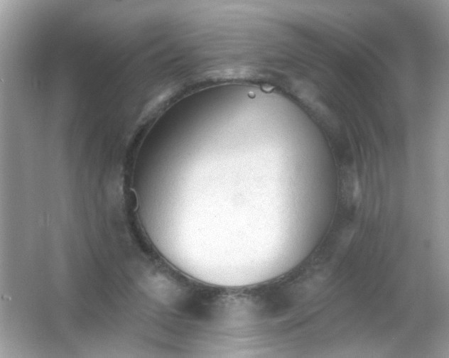 X0000065970207200603241922