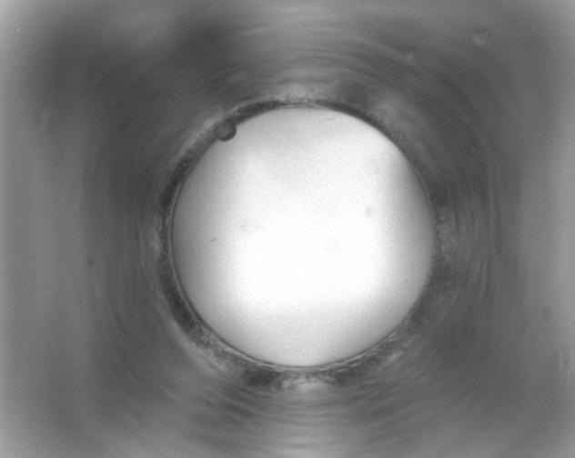 X0000065970208200603241922