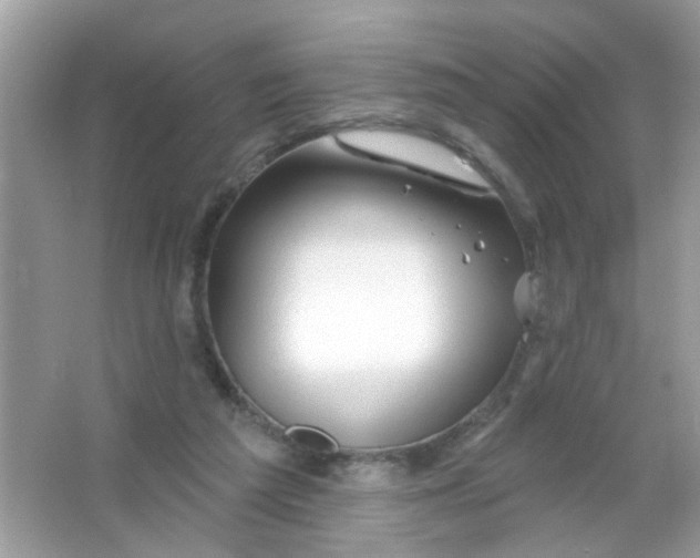 X0000065970209200603241922