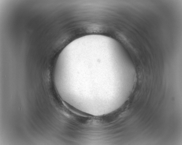 X0000065970211200603241922