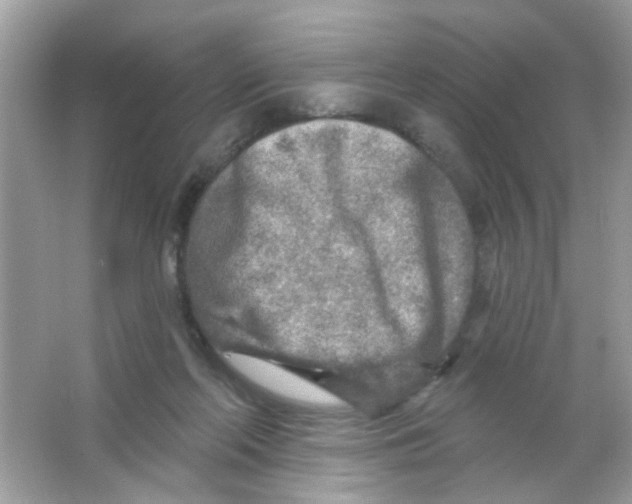 X0000065970214200603241922