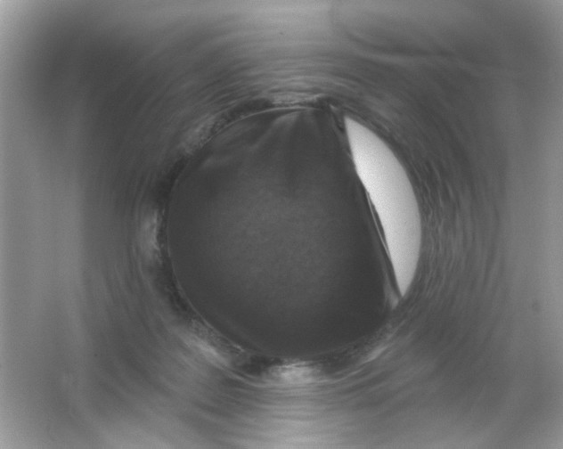 X0000065970219200603241922