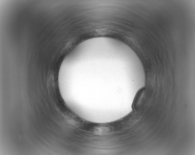 X0000065970220200603241922