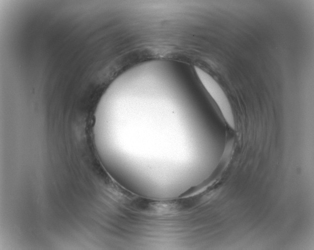 X0000065970221200603241922