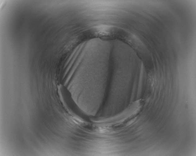 X0000065970223200603241922