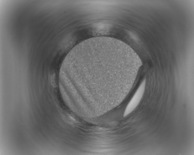 X0000065970224200603241922