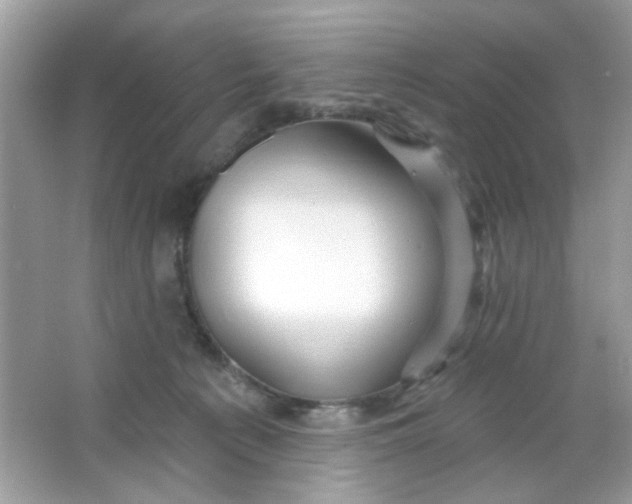 X0000065970225200603241921