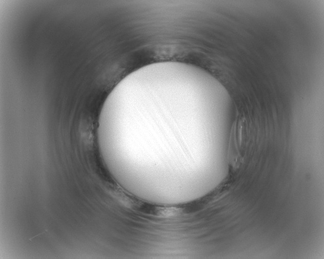 X0000065970226200603241921