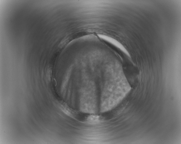 X0000065970227200603241921