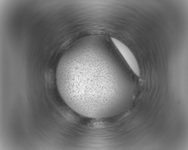 X0000065970228200603241921