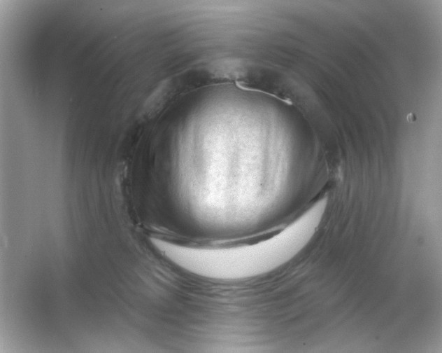 X0000065970229200603241921