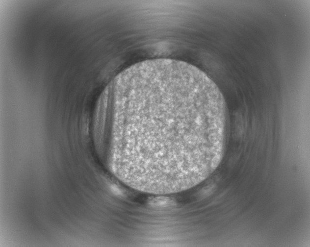 X0000065970230200603241921