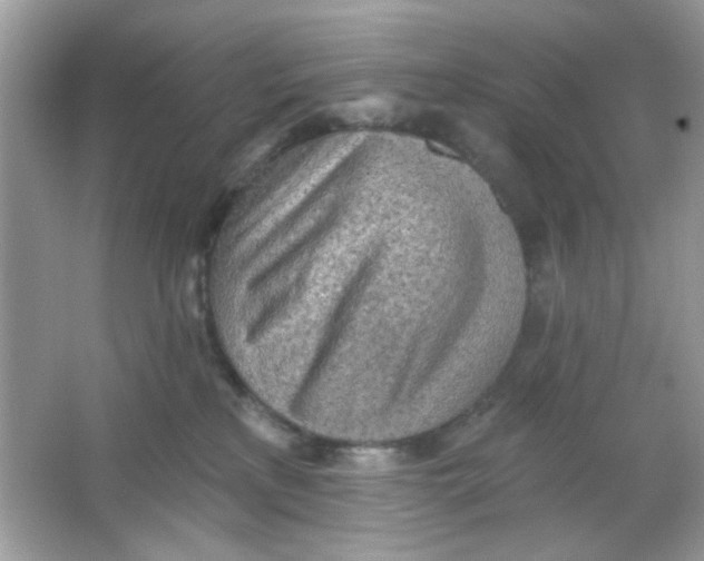 X0000065970233200603241921