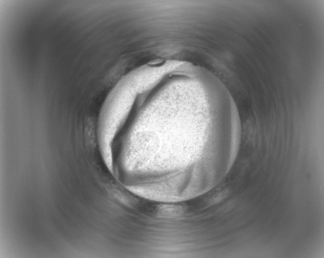 X0000065970234200603241921