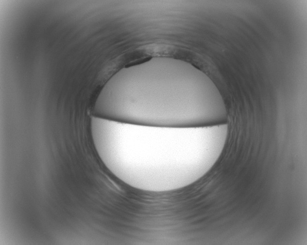 X0000065970239200603241921