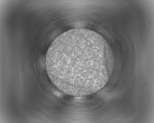 X0000065970240200603241921