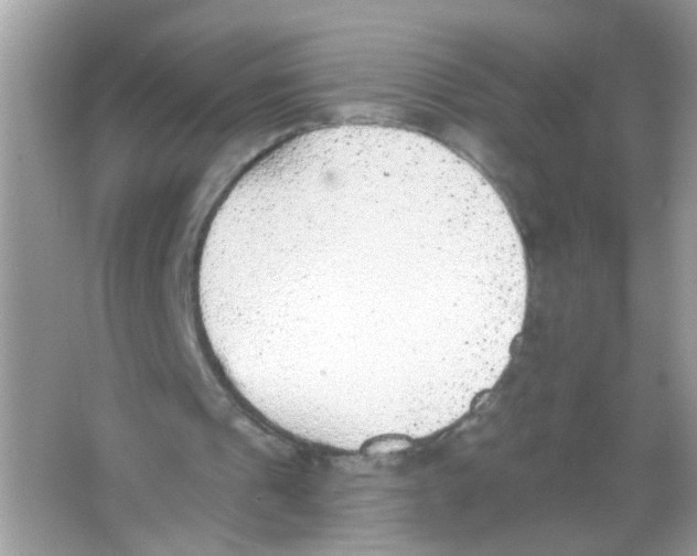 X0000065970241200603241920