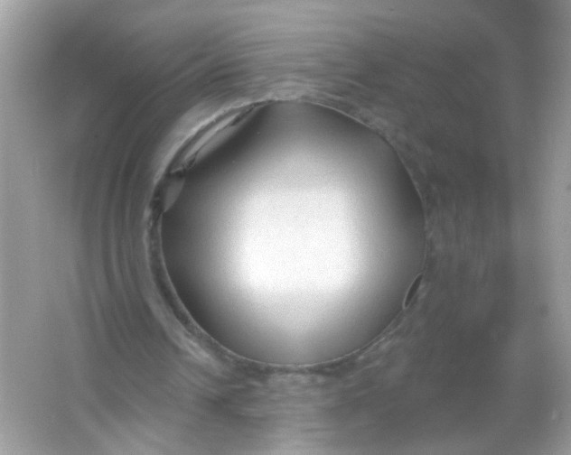 X0000065970242200603241920