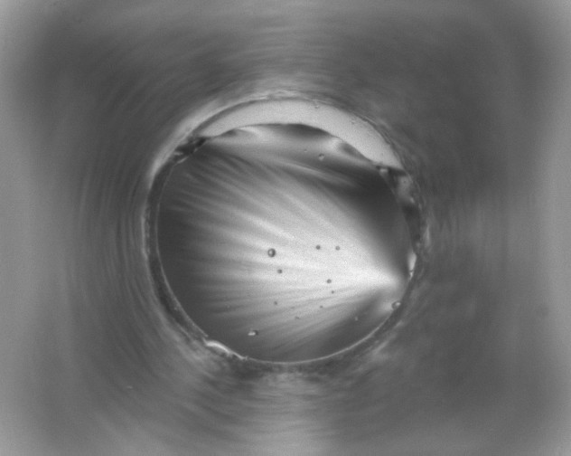 X0000065970244200603241920