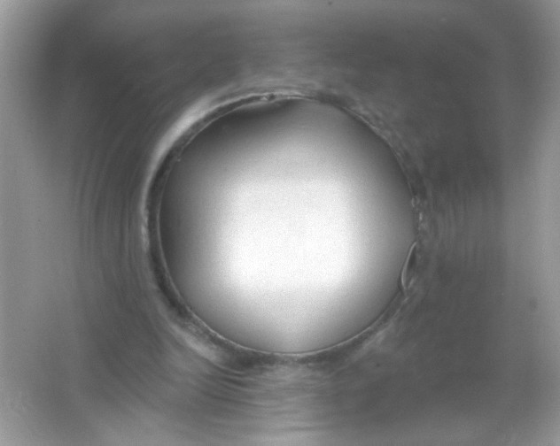 X0000065970246200603241920