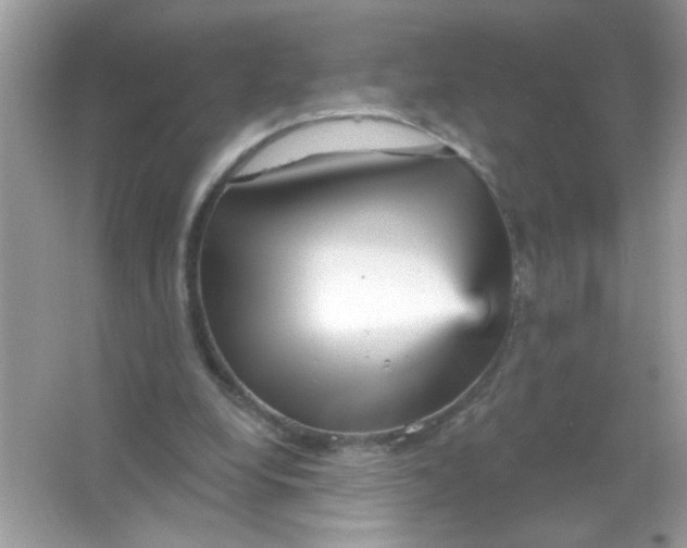 X0000065970248200603241921