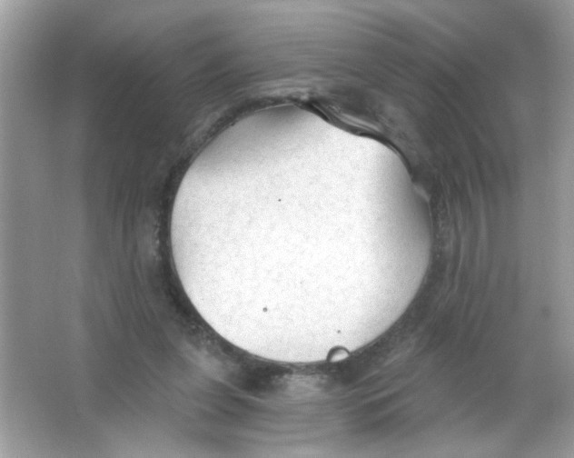 X0000065970255200603241921