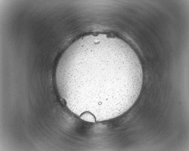 X0000065970257200603241921